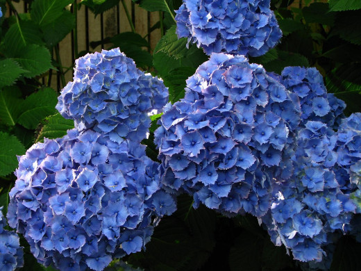 427898 (a): :1600x1200